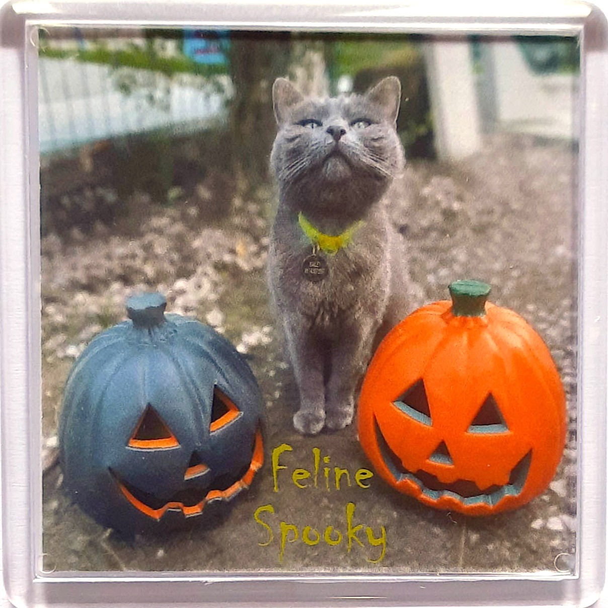 Feline Spooky Fridge magnet