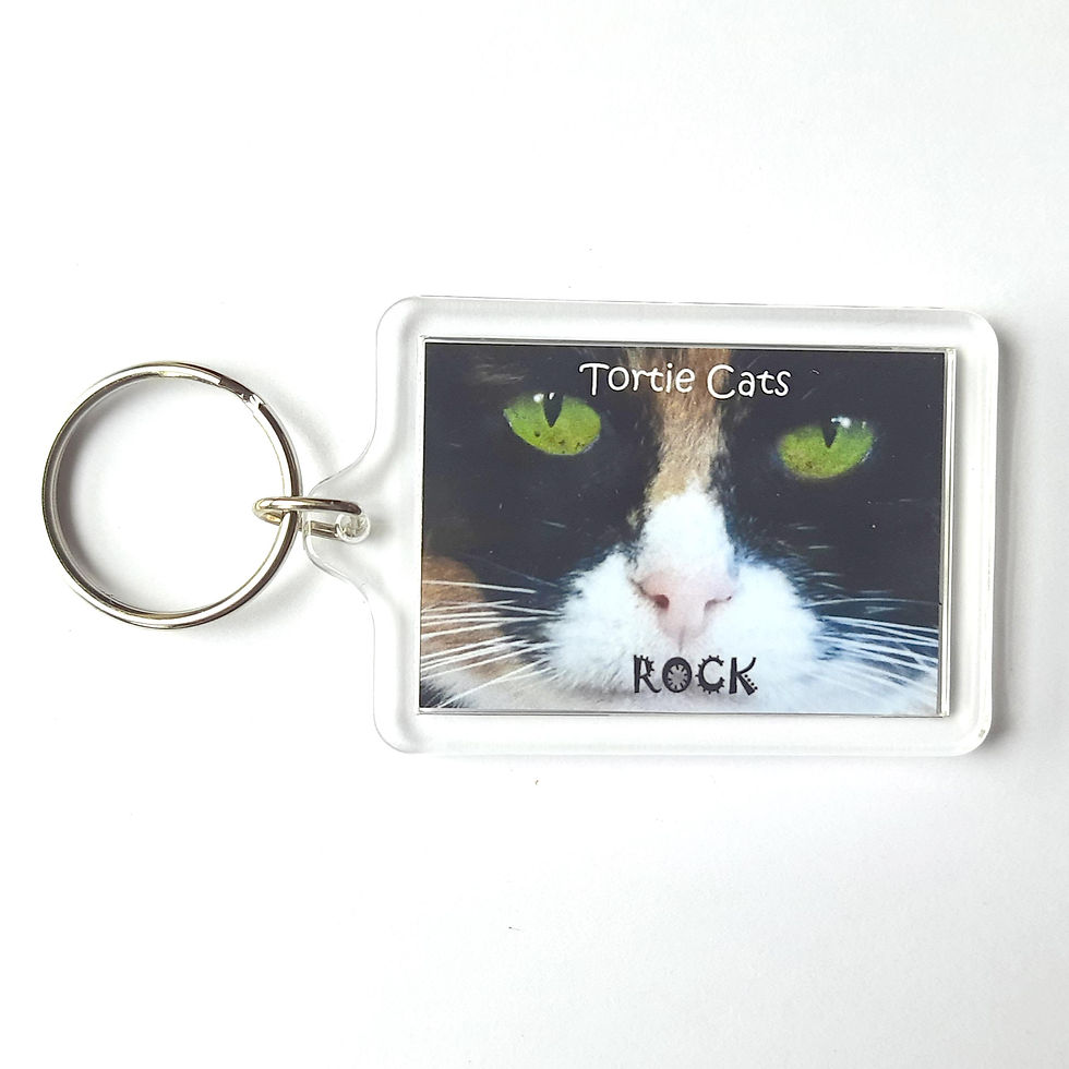 Thumbnail: Tortie Cats Keyrings