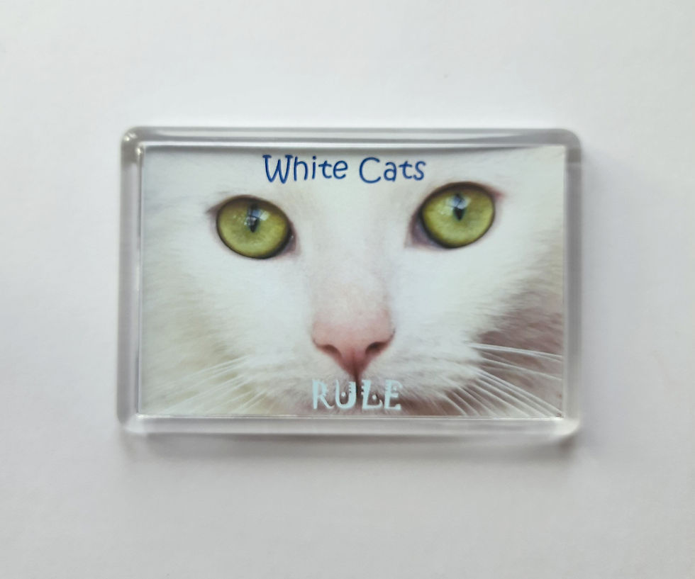 Thumbnail: White Cats are Cool Fridge Magnet