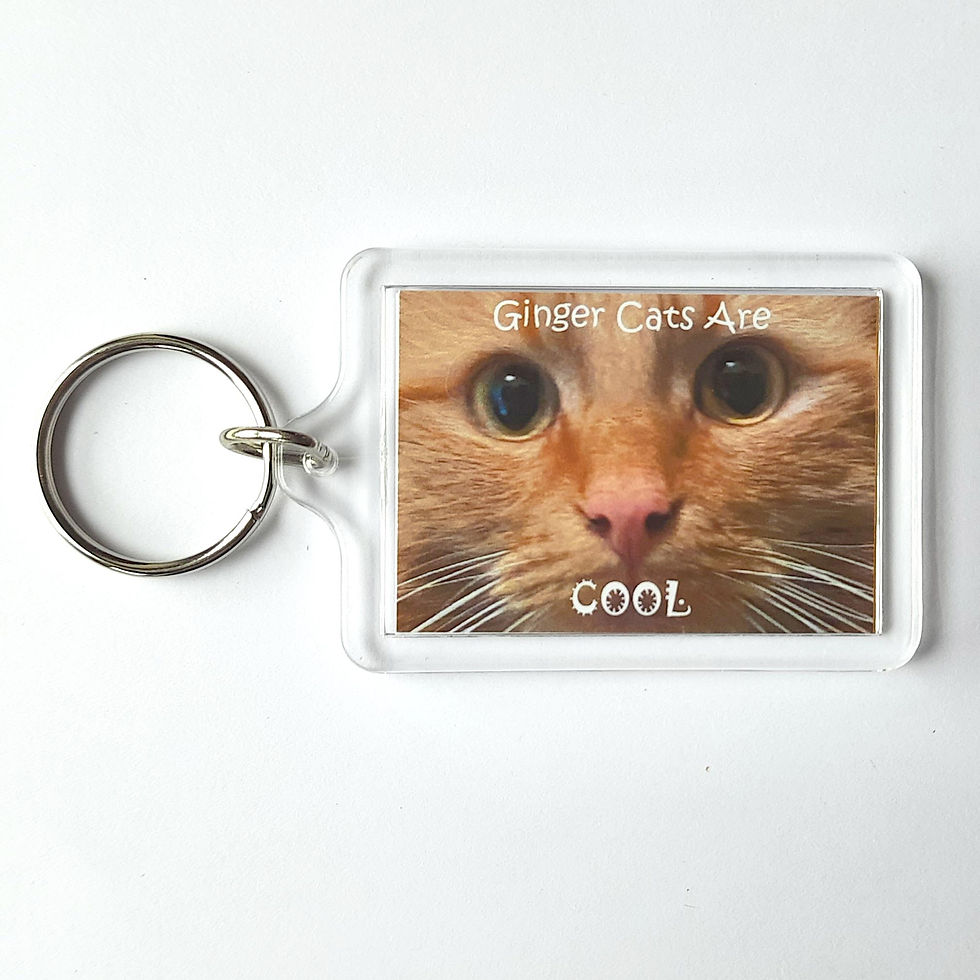 Thumbnail: Ginger Cats Keyrings