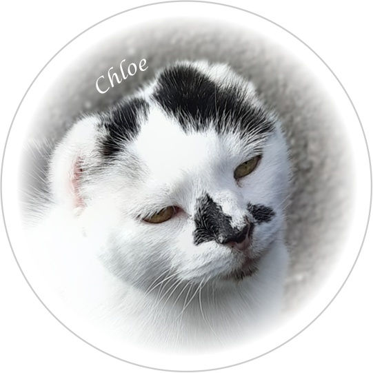 Thumbnail: Vignette Keyrings of Paige, Brimble, Chloe and Rudy