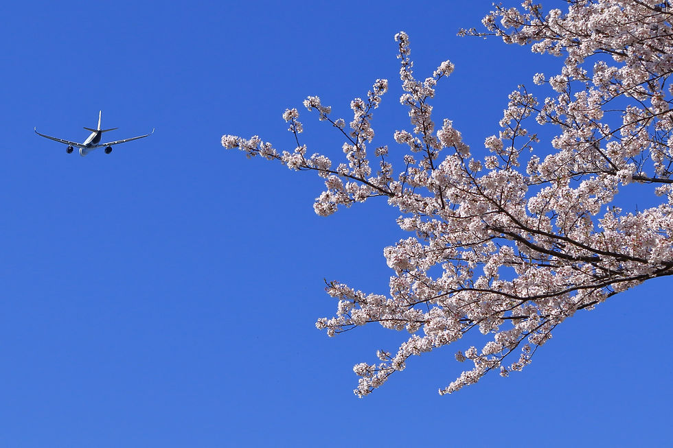 Narita International Airport, Chiba Japan