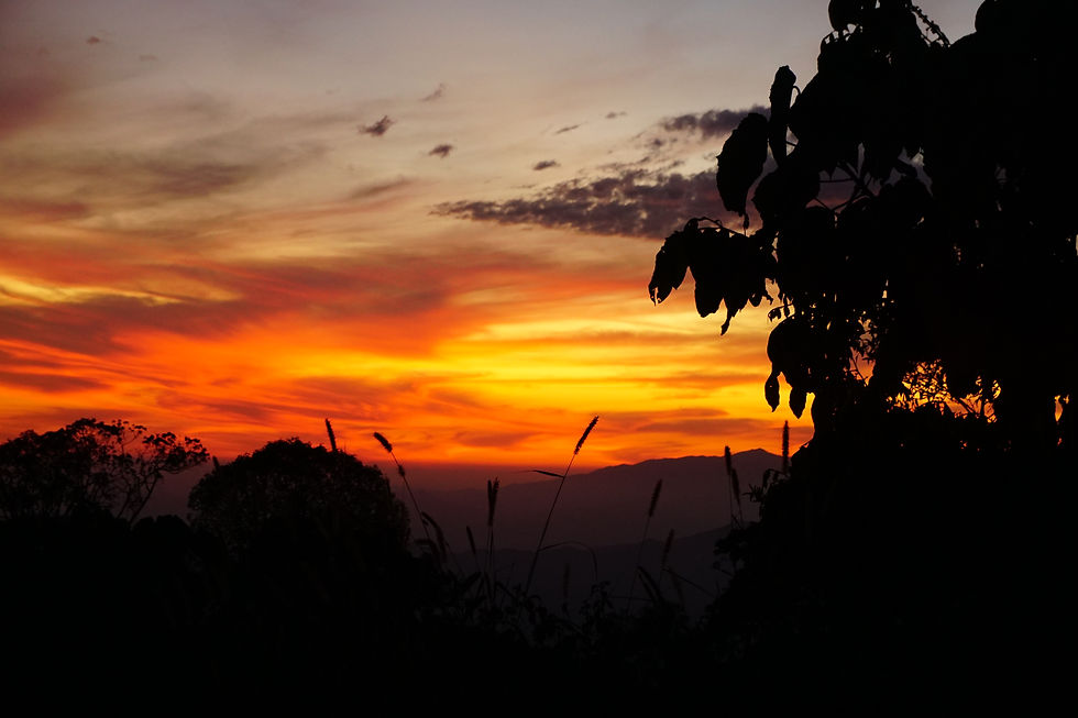 mixteca_alta10.JPG