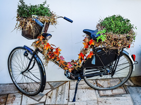 Velo-Fairfood-Ernährungssouveränität