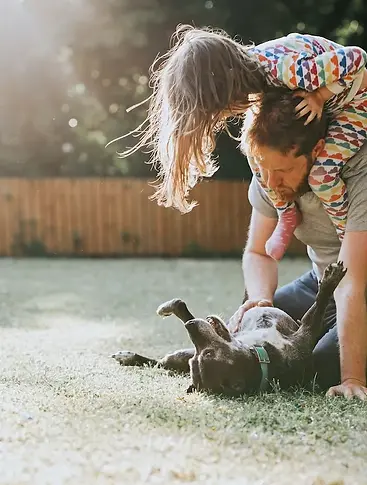 Parent Management Strategies