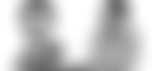 TRIBUNE DE CAMILLE GALTIER ET ARNAUD MURGIA