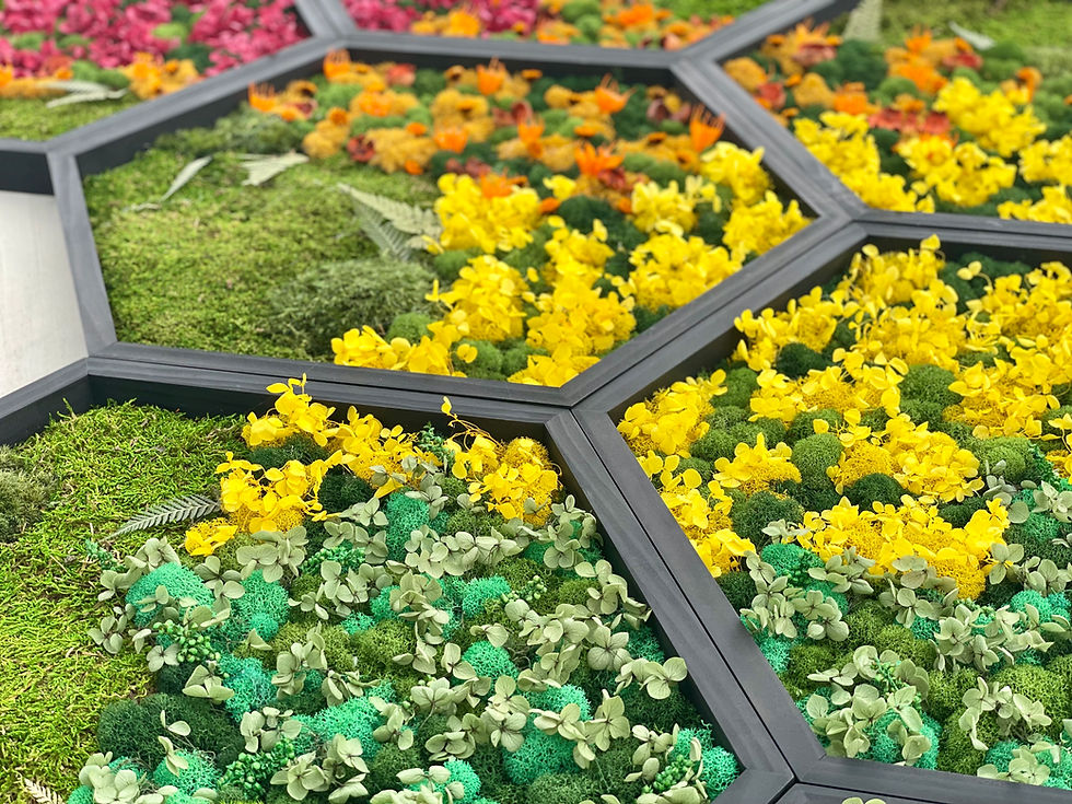 Thumbnail: Hexagon floral rainbow art yellow green orange