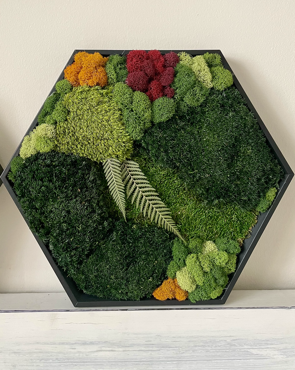 Thumbnail: RuMoss Hexagon - Colorful Moss Wall Art