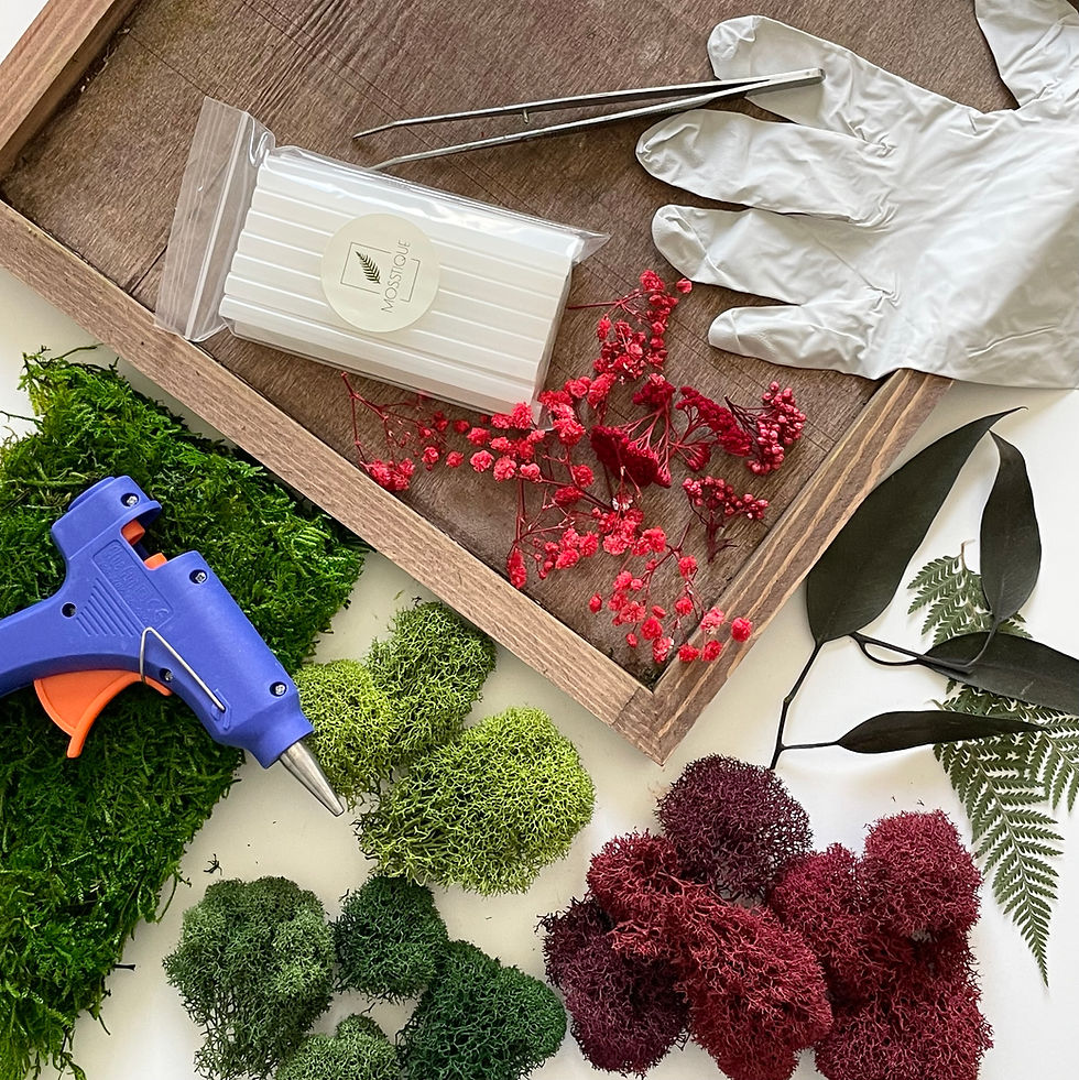Join Mosstique's First In-Person Moss Art Workshop in Austin