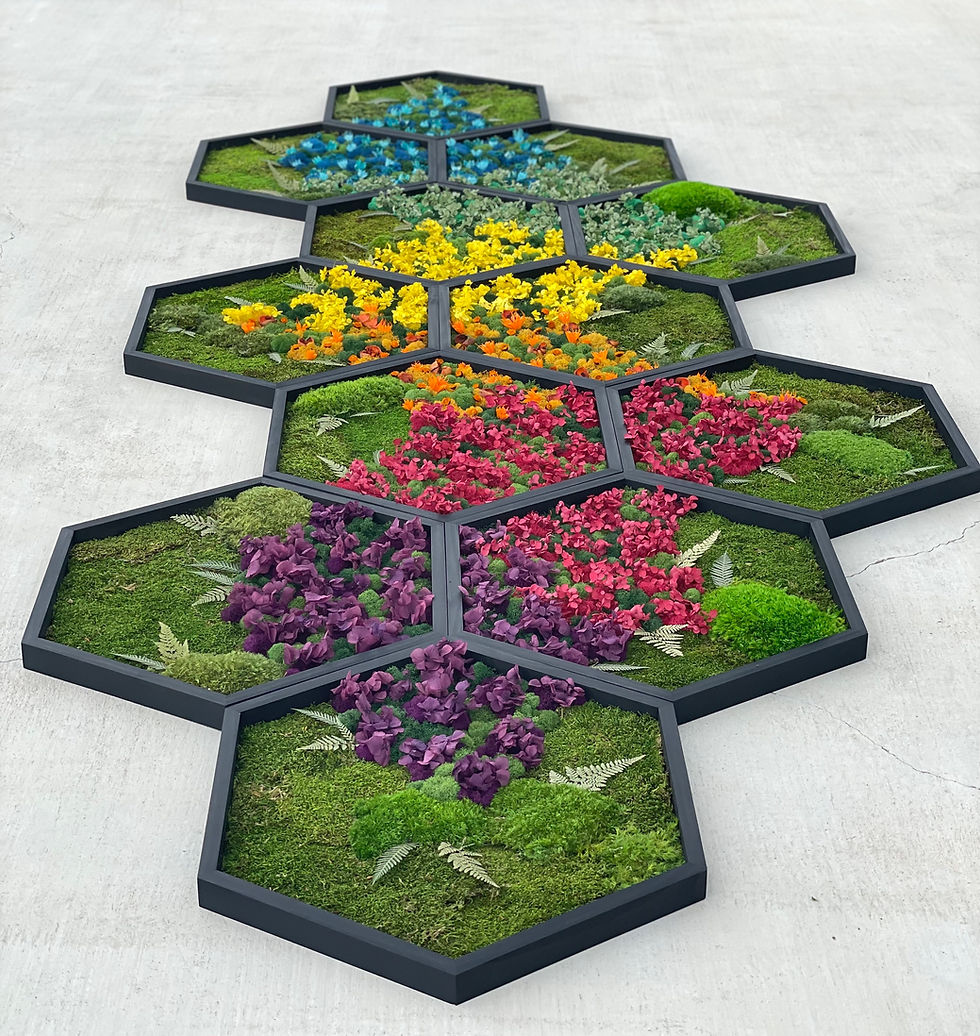 Hexagon floral rainbow art