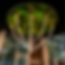 ChatGPT Image Jul 15, 2026, 02_39_51 PM.png