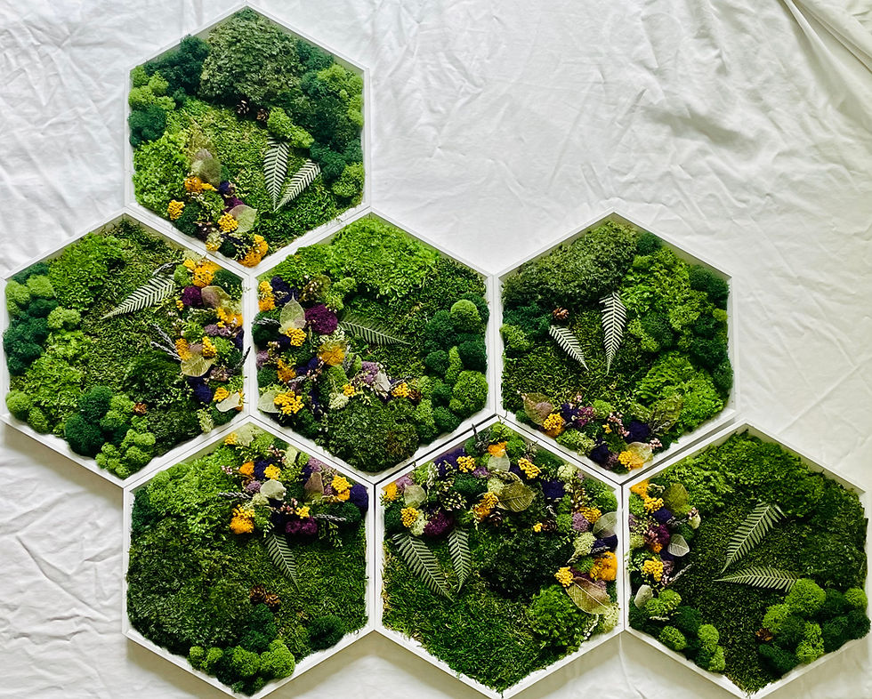 Thumbnail: Mosstiles - Preserved Moss & Dried Flowers