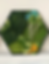 Thumbnail: RuMoss Hexagon - Colorful Moss Wall Art