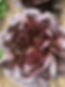 IMG_0984.jpeg