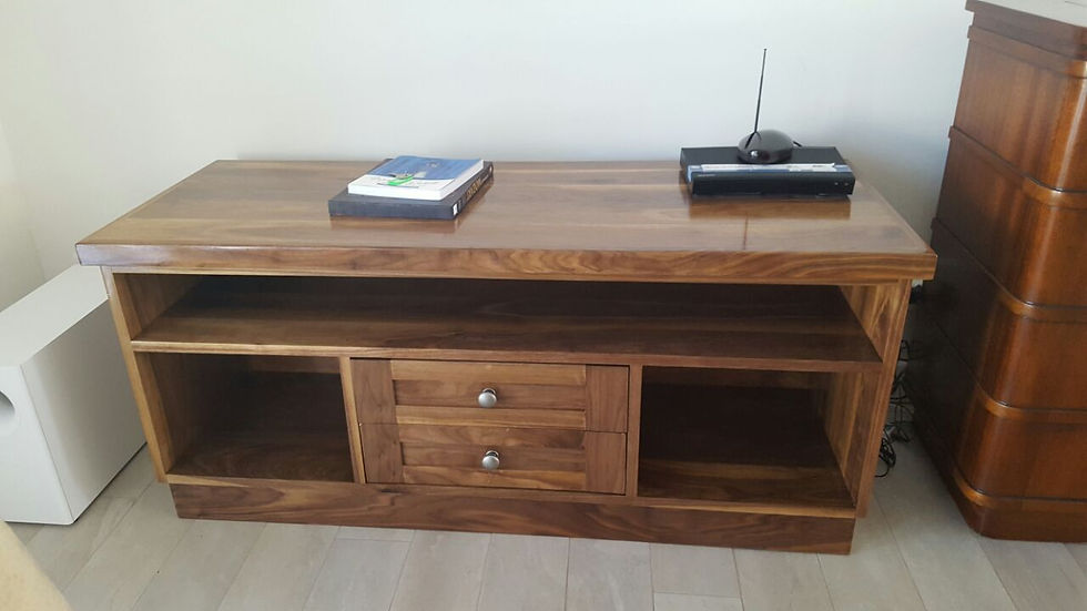 Solid Walnut Media unit