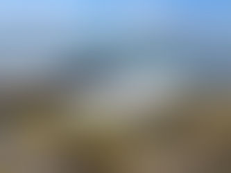 Tide Pool Fun in Morro Bay