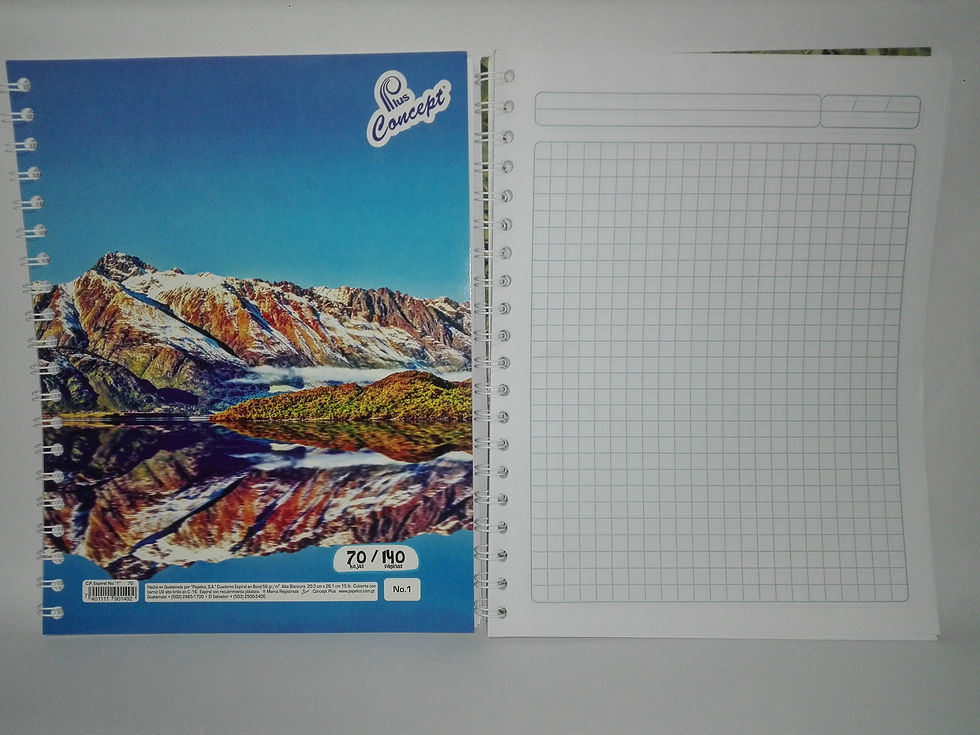 Cuaderno espiral cuadricula grande