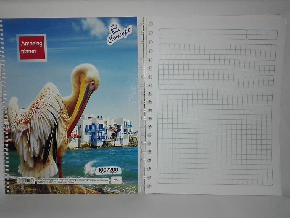 Cuaderno espiral cuadricula grande