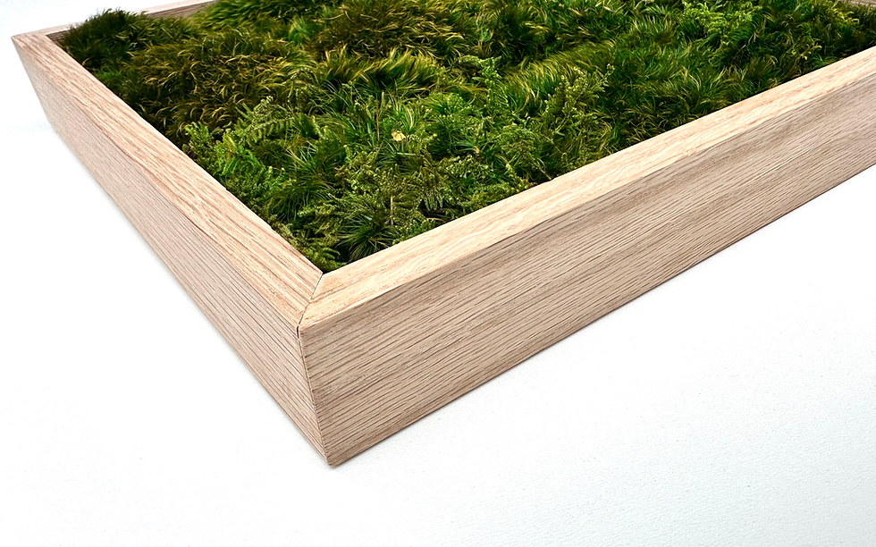 Thumbnail: PRESERVED MOSS FRAME