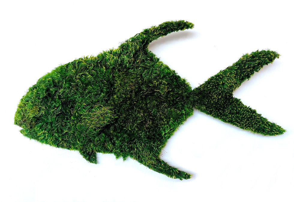 Thumbnail: PERMIT - PRESERVED MOSS WALL ART