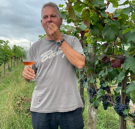Franz Messeritsch, Weinhandel