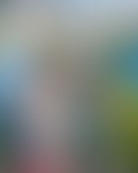 Why I Dropped "When the Camellia Blooms"