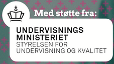 Skærmbillede 2022-08-04 kl. 16.01.26.png