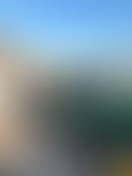 Storm Debris Clean Up