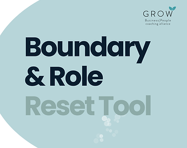 Boundary & Role Reset Tool site photo.png