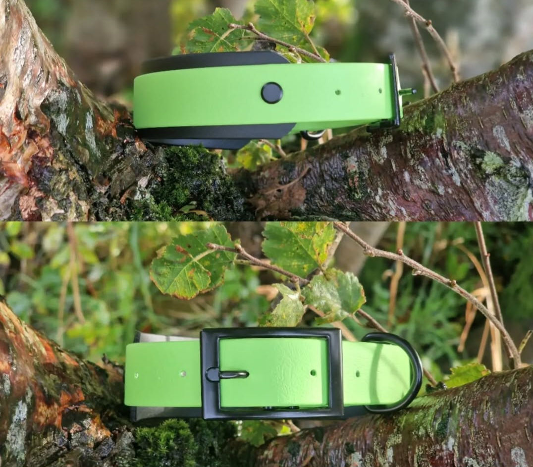 Double Layer Collars