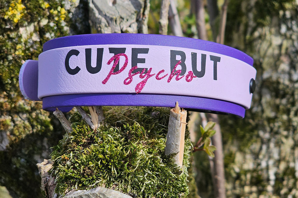 Thumbnail: Double Layered 38mm Wide HTV Collar 38mm