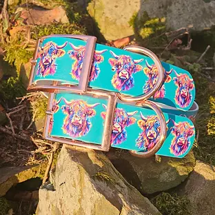 Highland Cow Teal Collar
