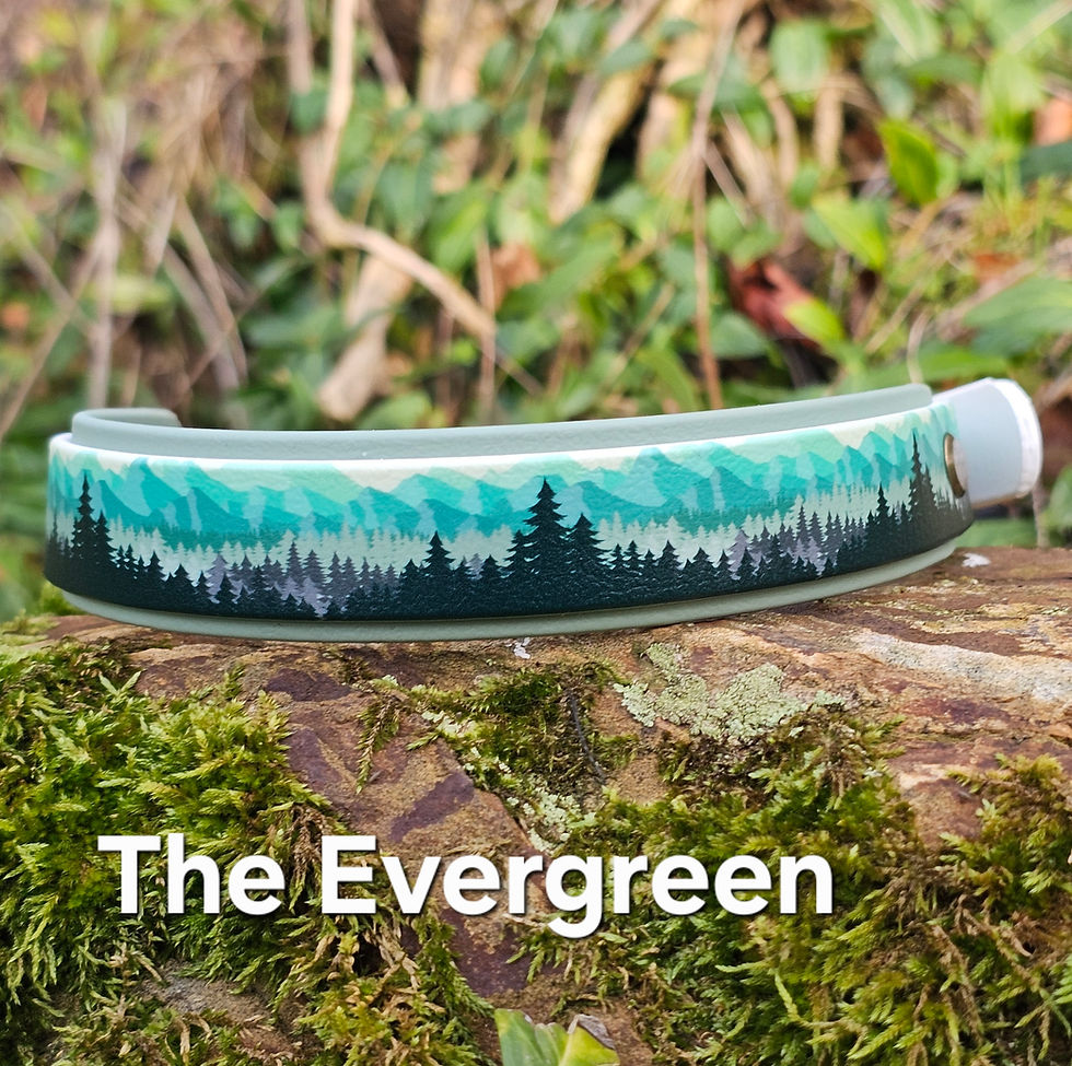 Thumbnail: The Boreal Collection (Pre Order)