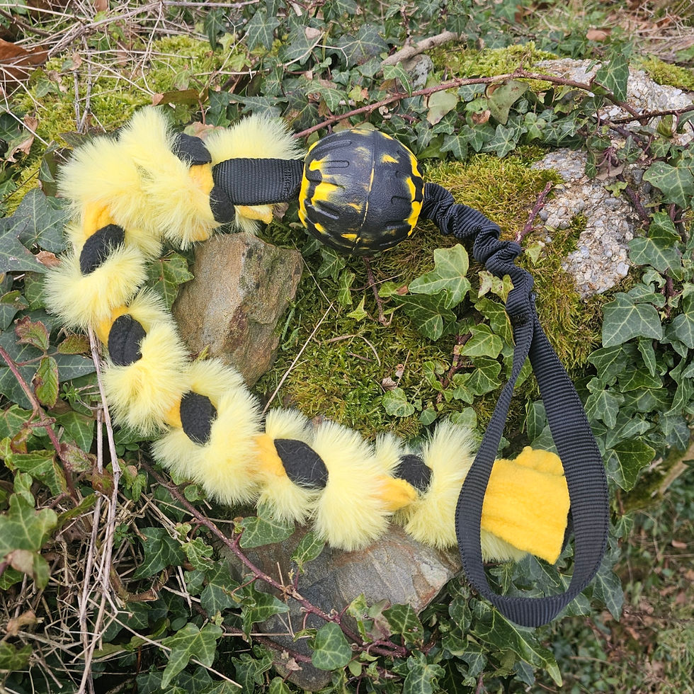Thumbnail: Bungee Tugg Toys