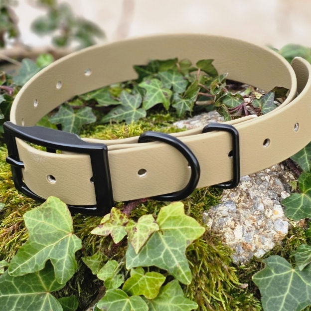 Thumbnail: E Collar Replacement Straps