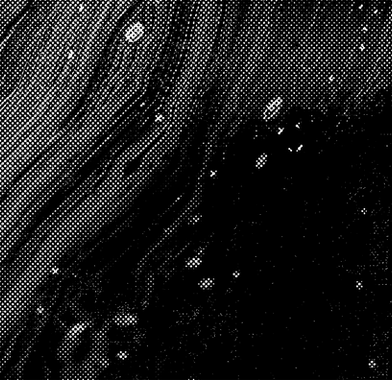 Black and White Abstract Texture