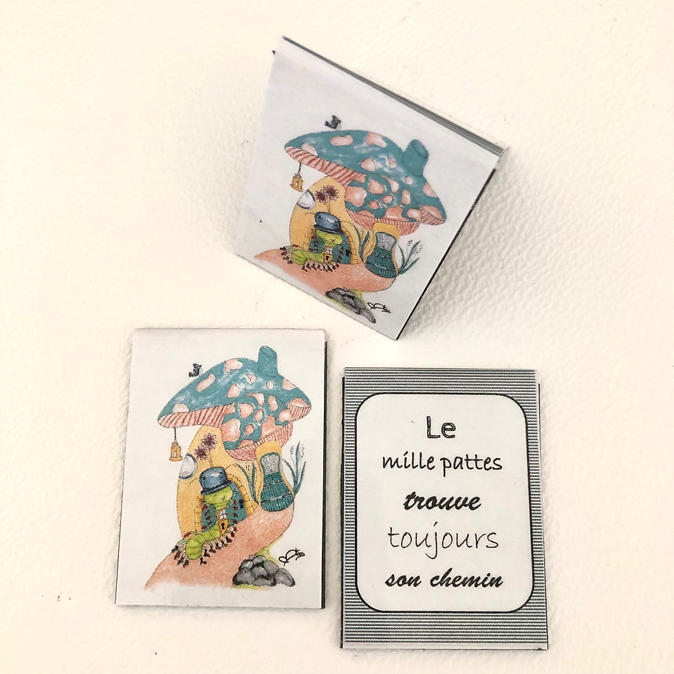 Miniature : Signet aimanté mille pattes 