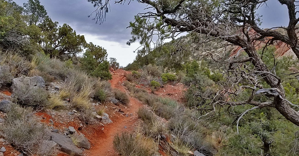 White Rock Mountain Loop hike in Red Rock Canyon