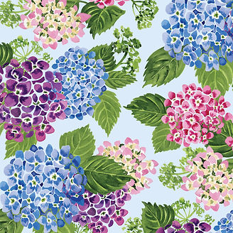 New-Hydrangea-no-logo.jpg