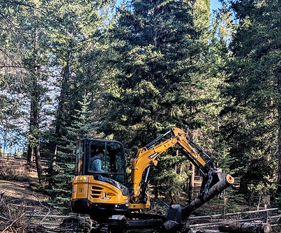 Lot cleanup_edited.jpg