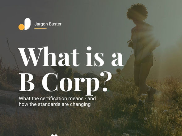 What is a B Corp?