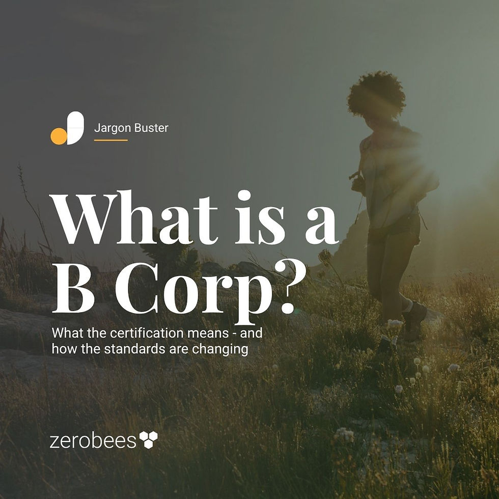 What is a B Corp?