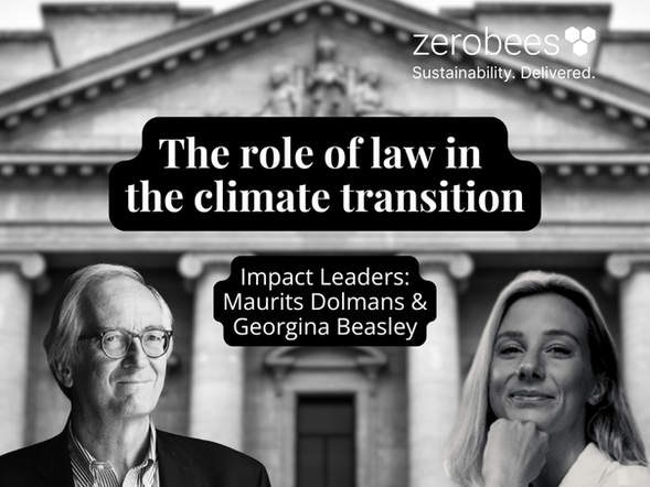 The role of law in the climate transition, interview with Georgina Beasley and Maurits Dolmans.