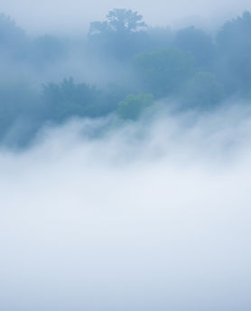 Gentle mist natural scene background photo beautiful nature.jpg