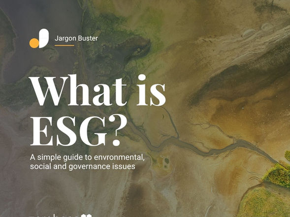 What is ESG for SMEs?