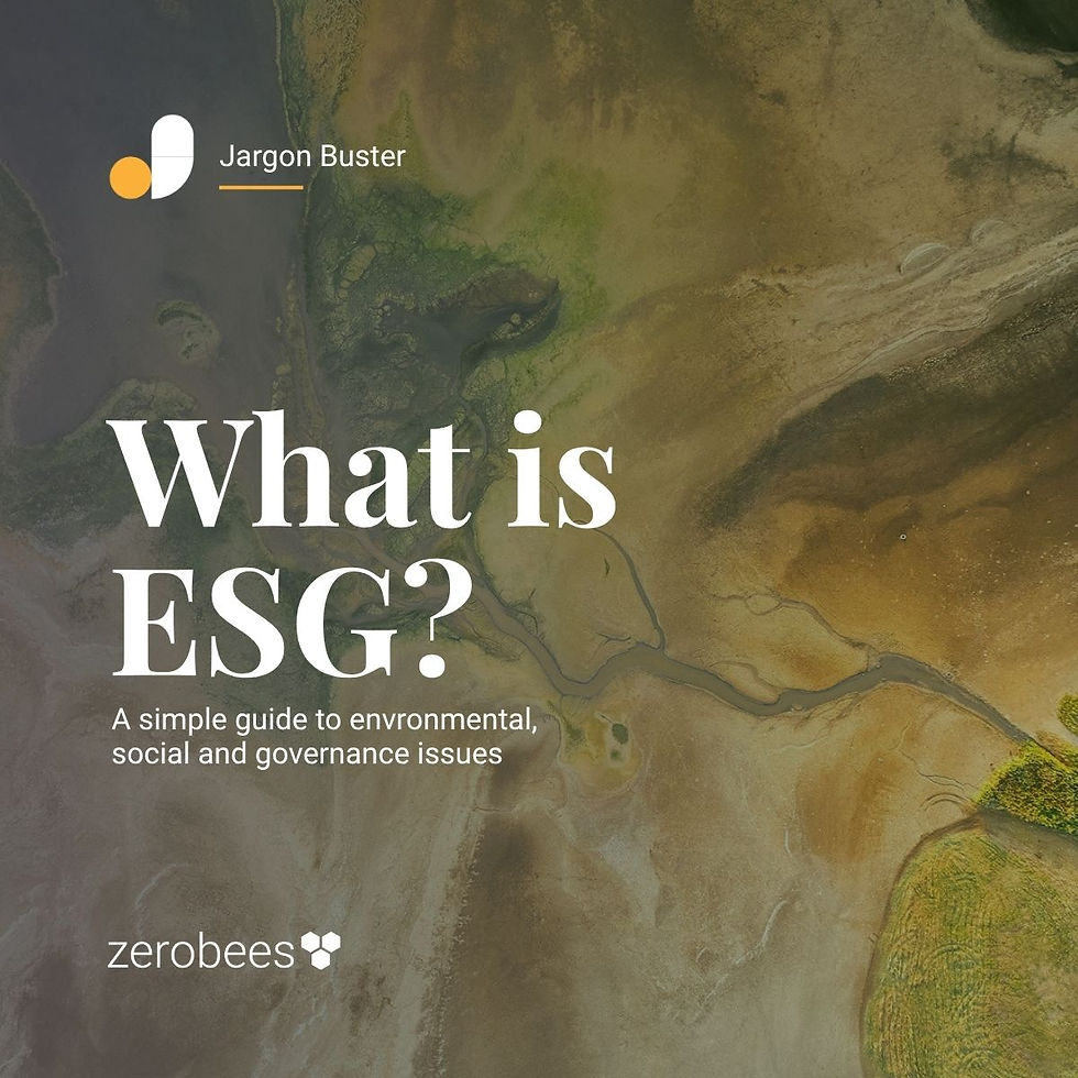 What is ESG for SMEs? A simple guide