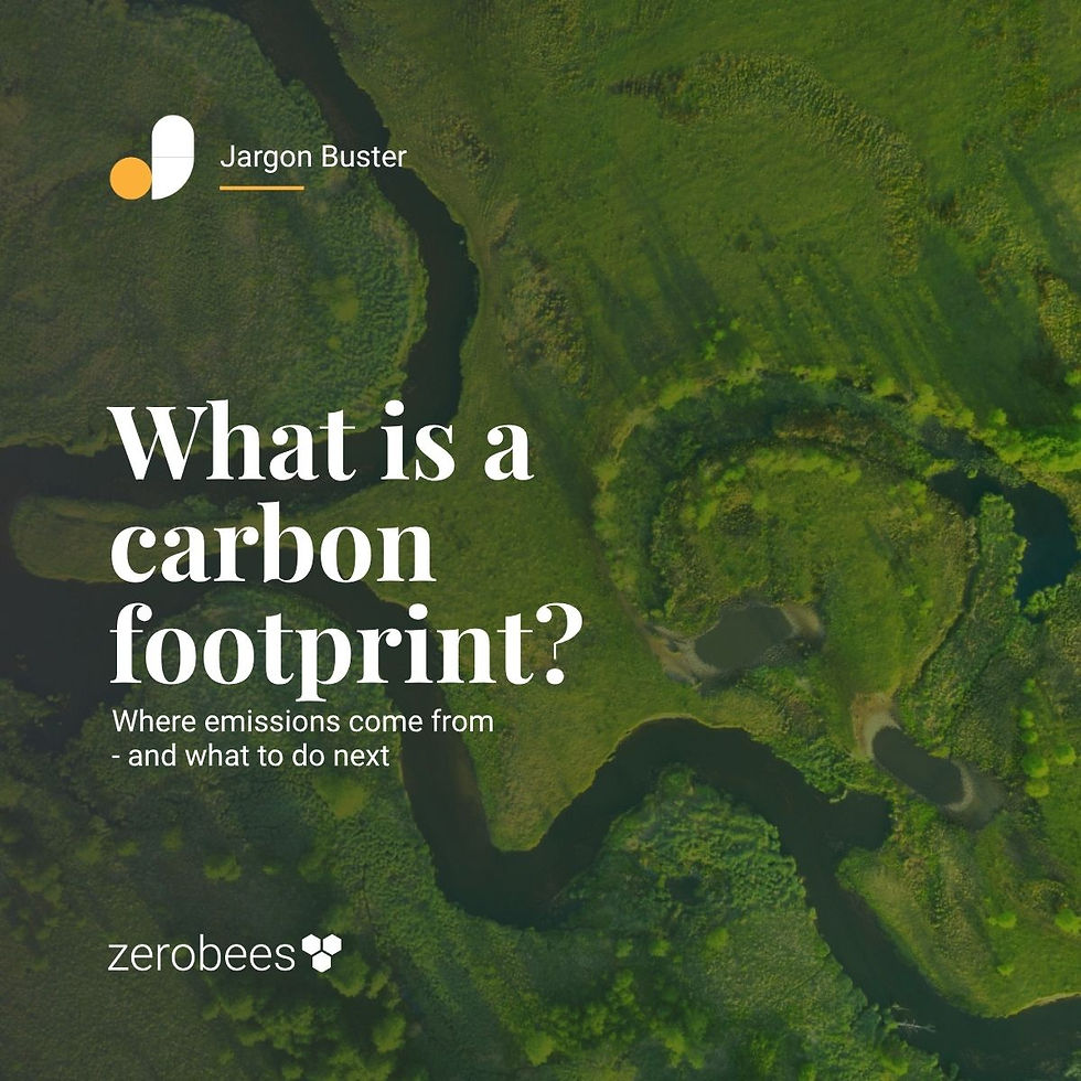 What is a carbon footprint?