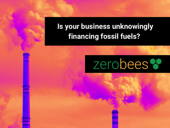 Beyond Direct Emissions: Why Banking Shouldn't Be Overlooked in Carbon Audits for Businesses
