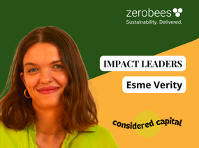 Impact Leaders - Alternative Funding for Mission-Led Businesses | ZeroBees