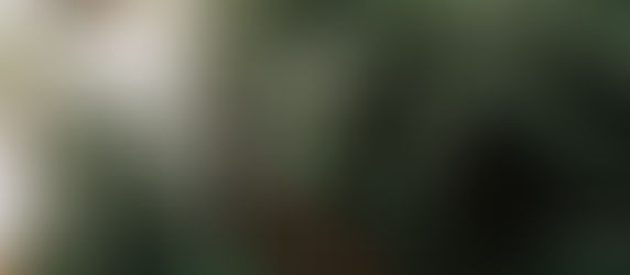 Tip #7 - Get Pre-Qualified and Pre-Approved for a Loan